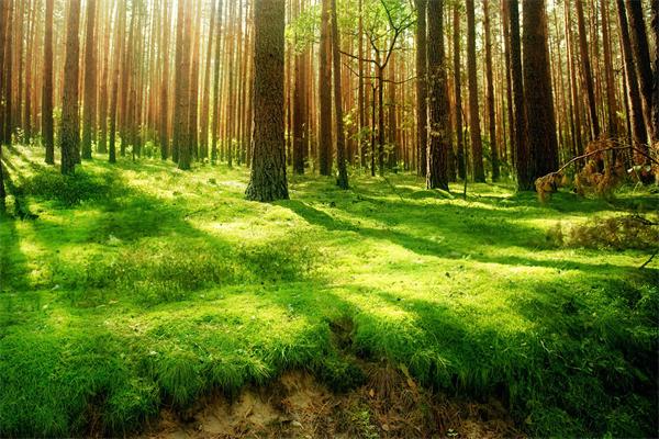 1437552415554292.jpg 1.jpg