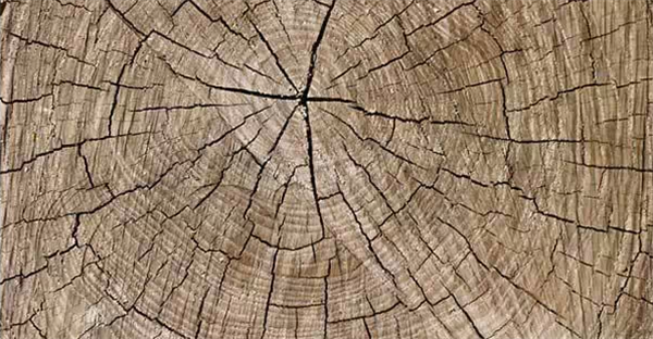 1439967125639538.png 2.png