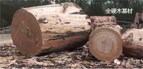 1440036949395892.jpg 150c.jpg