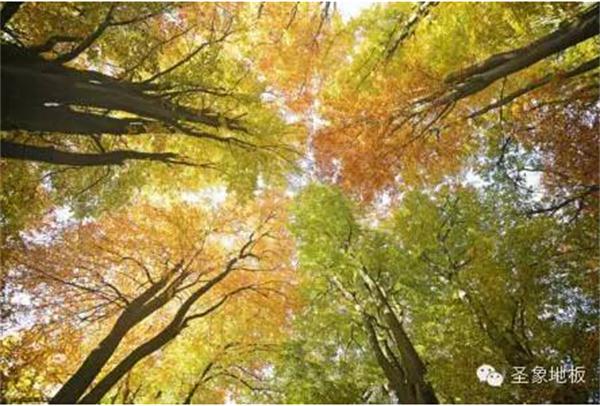 1440036959251176.jpg 150d.jpg