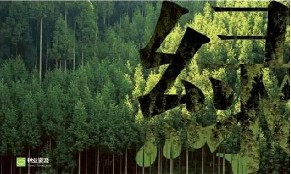 1440042421112979.jpg 156e.jpg