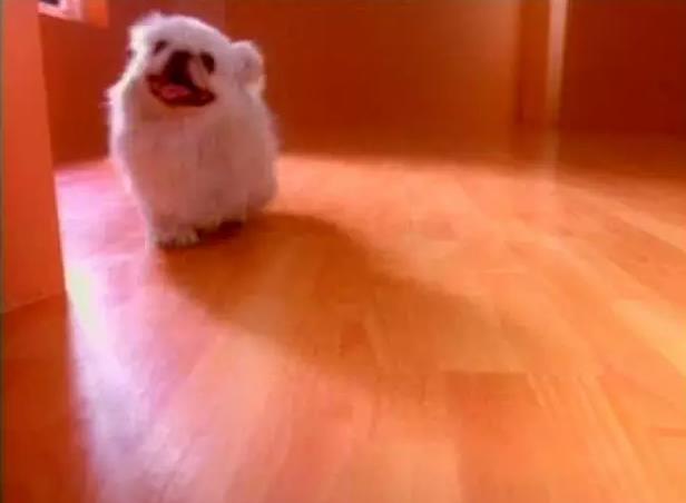 1441087753140524.jpg 4.jpg