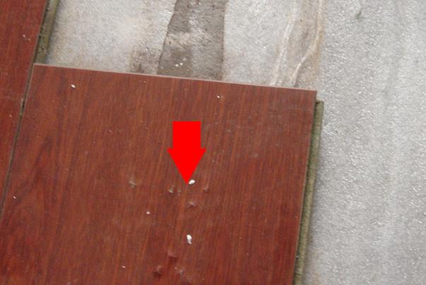 1441524957129766.jpg 5.jpg