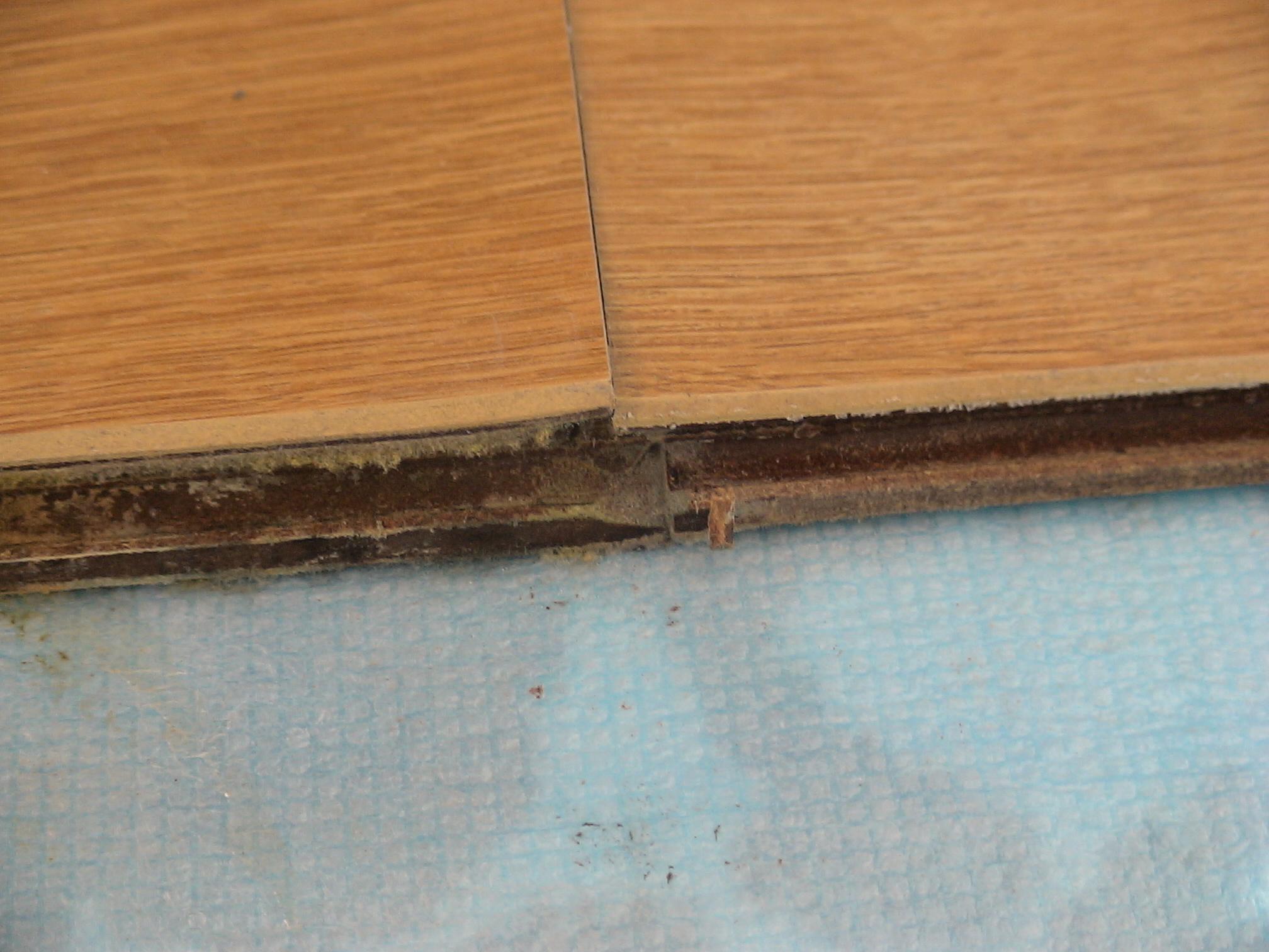 強化地板.jpg 強化地板.jpg