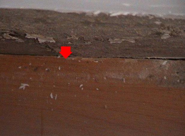 1441680293136841.jpg 5.jpg