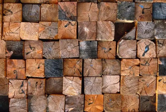 圣象人20年:圣象人的戀木情節.jpg 圣象人20年:圣象人的戀木情節.jpg