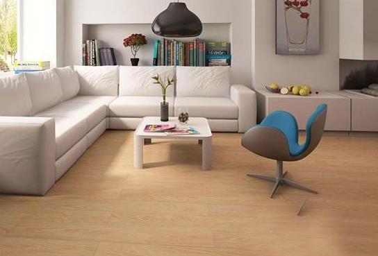 “極致”是引爆地板品牌所具備的重要特征.jpg “極致”是引爆地板品牌所具備的重要特征.jpg