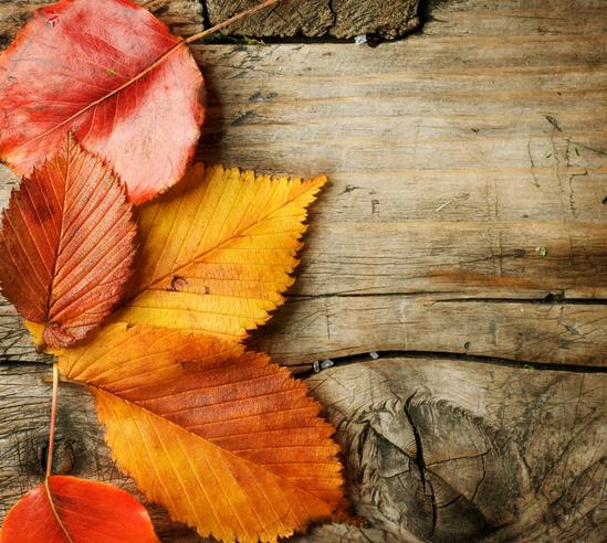 認識一下有個叫“木頭”的人.jpg 認識一下有個叫“木頭”的人.jpg