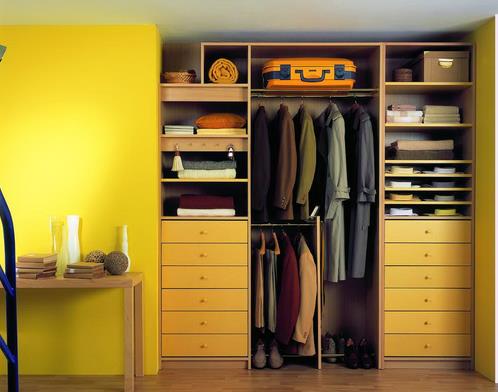 走向大家居 “專業的多元化”是衣柜企業成功關鍵.jpg