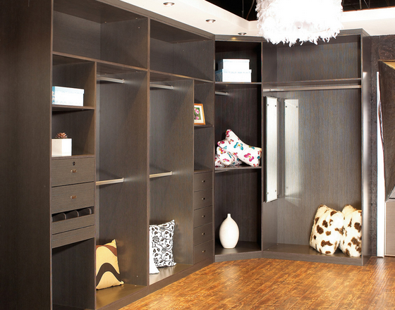 衣柜企業(yè)需多渠道搭乘“互聯(lián)網(wǎng)”東風(fēng).png 衣柜企業(yè)需多渠道搭乘“互聯(lián)網(wǎng)”東風(fēng).png