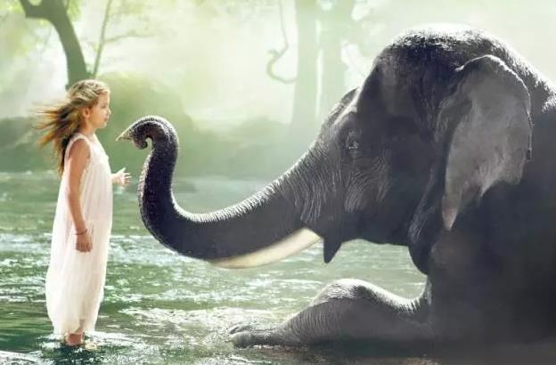 圣象走進高校,向莘莘學子講述品牌的成長之路.jpg 圣象走進高校,向莘莘學子講述品牌的成長之路.jpg