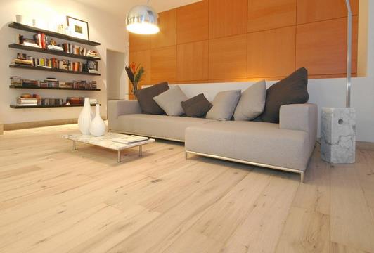 世友實木地熱王,開創技術先河 .jpg 世友實木地熱王,開創技術先河 .jpg