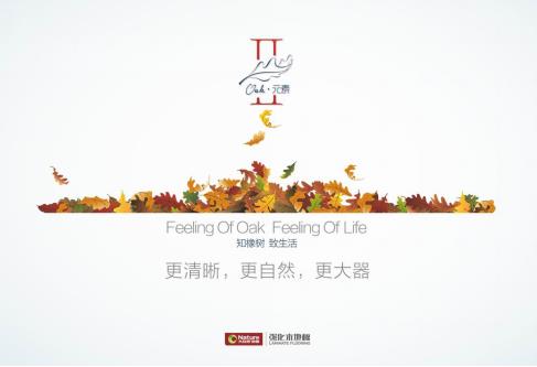 大自然地板“OAK II”相約順德,正式發布.jpg 大自然地板“OAK II”相約順德,正式發布.jpg