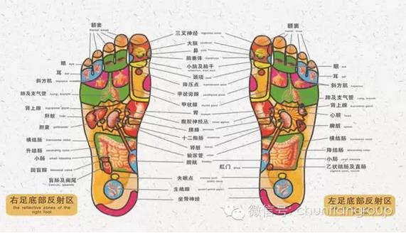 按摩地板.jpg 按摩地板.jpg