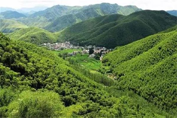 精準潑綠,構筑重點區(qū)域生態(tài)安全屏障.jpg 精準潑綠,構筑重點區(qū)域生態(tài)安全屏障.jpg