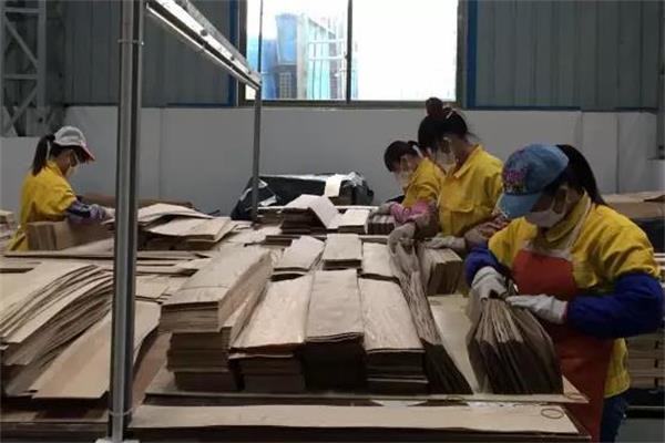 厚邦公司:315=365 天天一絲不茍,活力藏心頭.jpg 厚邦公司:315=365 天天一絲不茍,活力藏心頭.jpg