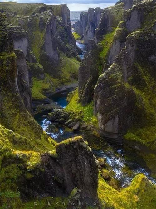 評森林之星“十宗醉”.jpg 評森林之星“十宗醉”.jpg