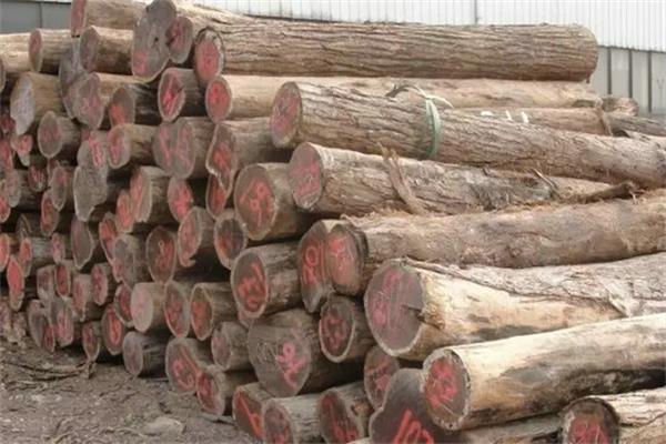 業(yè)界紛紛揣測(cè)紅木漲價(jià)成定局 業(yè)界紛紛揣測(cè)紅木漲價(jià)成定局