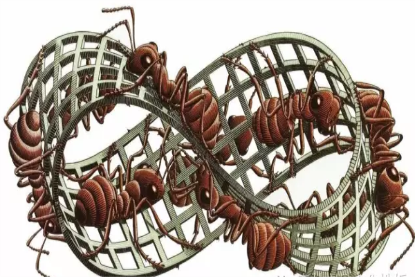 變化之術 魔鏡之家 變化之術 魔鏡之家