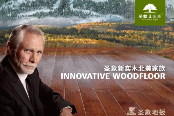 圣象新飾線--詮釋踢腳線 圣象新飾線--詮釋踢腳線