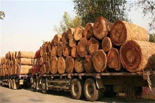 莆田系掌控70%的紅木原料 莆田系掌控70%的紅木原料