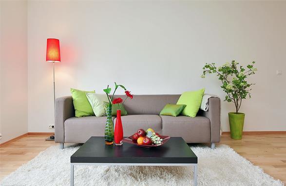 解讀:地板企業“上新”的背后 解讀:地板企業“上新”的背后