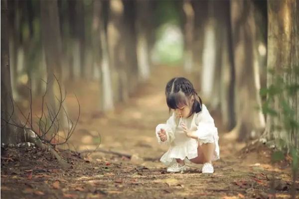 依木而居的自然品位 依木而居的自然品位