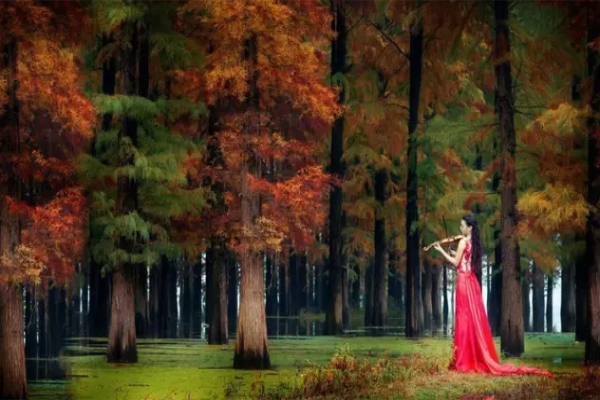 依木而居的自然品位 依木而居的自然品位