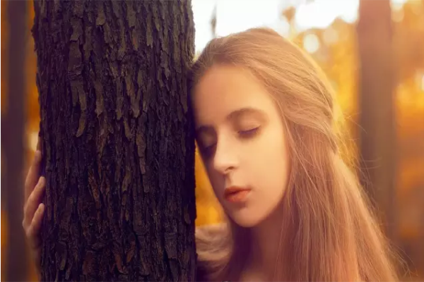 依木而居的自然品位 依木而居的自然品位