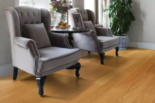 依木而居的自然品位 依木而居的自然品位