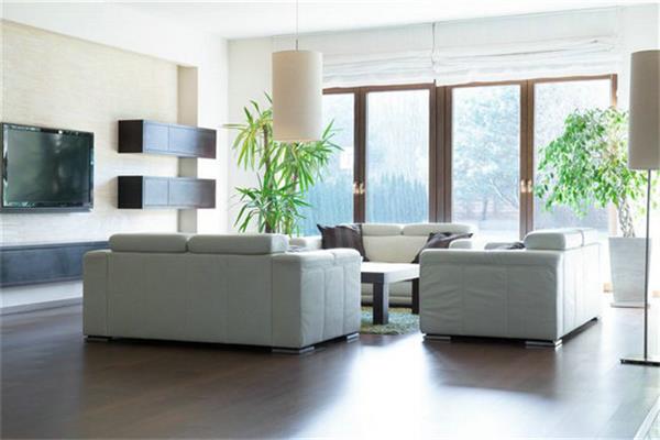 雙十一家居電商新玩法：明星+ 網(wǎng)紅直播