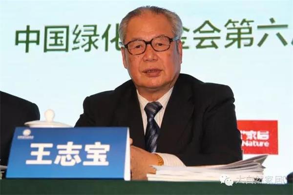 順德老板20年豪擲2000萬元種樹 順德老板20年豪擲2000萬元種樹