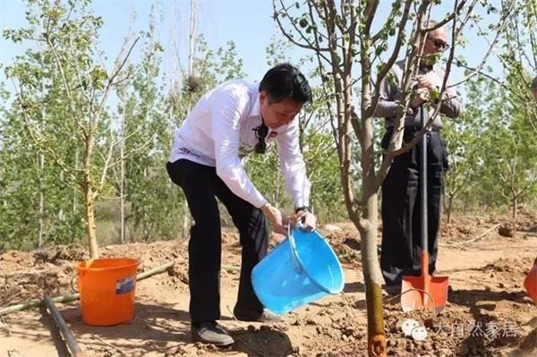 順德老板20年豪擲2000萬元種樹 順德老板20年豪擲2000萬元種樹