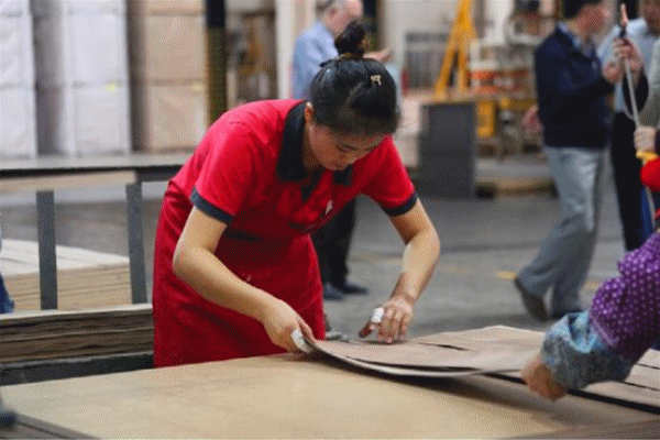 國家林業局、CCTV等專家媒體團走進生活家 國家林業局、CCTV等專家媒體團走進生活家