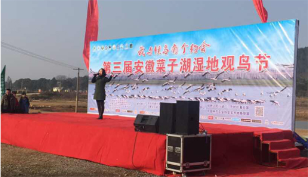 實木地板聯盟開展國家珍禽保護活動 實木地板聯盟開展國家珍禽保護活動