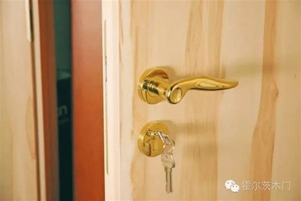 霍爾茨德式T型門匠心獨(dú)造 霍爾茨德式T型門匠心獨(dú)造