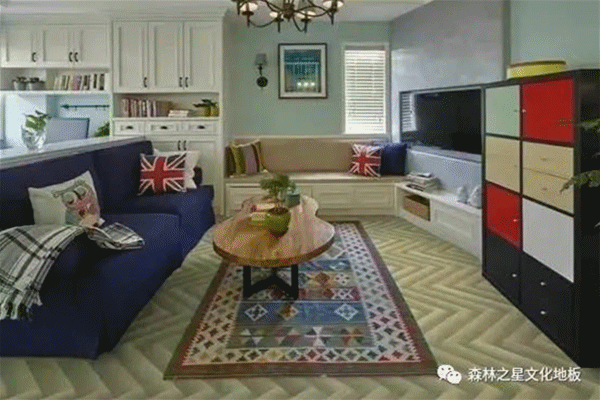 森林之星經(jīng)銷商漫談：做市場，就是做個性