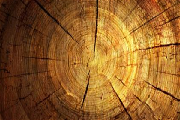 大自然家居:以對生命負責的態度致敬挑剔者 大自然家居:以對生命負責的態度致敬挑剔者