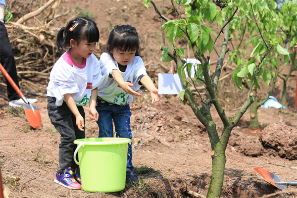 佘學彬:“種樹大王”的蜀道行 佘學彬:“種樹大王”的蜀道行
