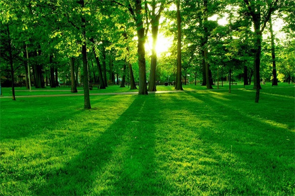 細數(shù)“偽環(huán)保”建材的那些噱頭 細數(shù)“偽環(huán)保”建材的那些噱頭