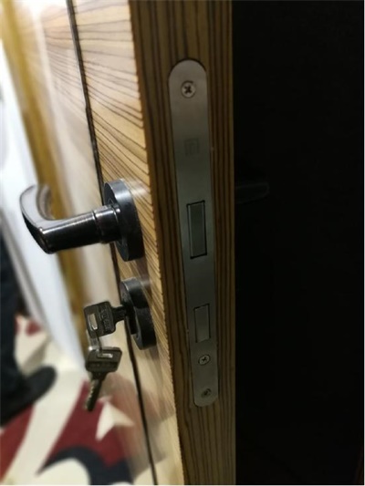 智敬未來，大自然開啟大家居智能之門