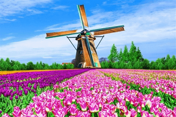 一張來自荷蘭駐華大使館的“世界的生活家”邀請函 一張來自荷蘭駐華大使館的“世界的生活家”邀請函