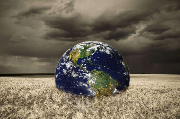 嚴把環(huán)保關 造就好品質 嚴把環(huán)保關 造就好品質