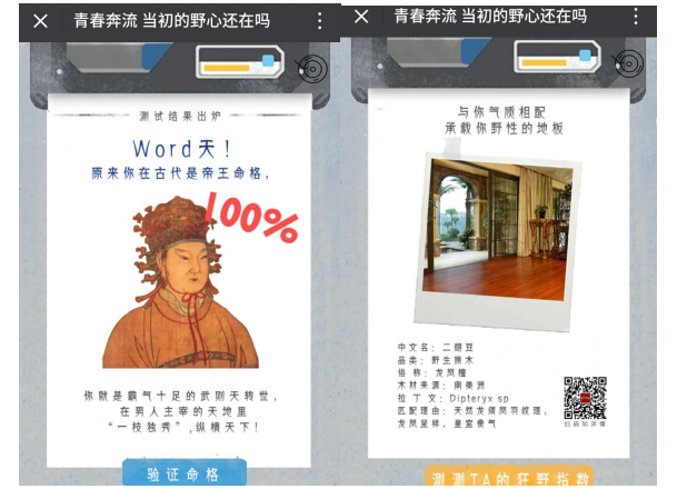 大自然野生原木二翅豆,它最匹配你的野心 大自然野生原木二翅豆,它最匹配你的野心