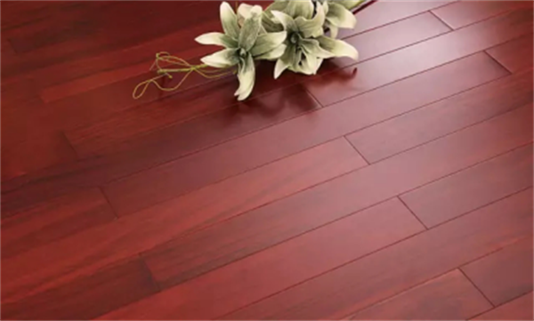 大自然野生原木二翅豆,它最匹配你的野心 大自然野生原木二翅豆,它最匹配你的野心