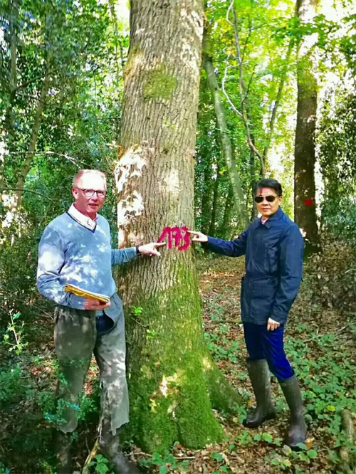 大自然木門成為《設(shè)計夢想家》唯一指定木門類合作品牌！