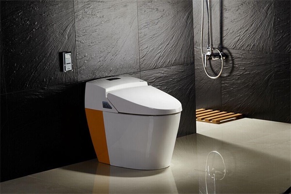 為何國內智能坐便器市場普及率僅有1%? 為何國內智能坐便器市場普及率僅有1%?