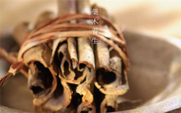 臨溪藥木 臨溪藥木