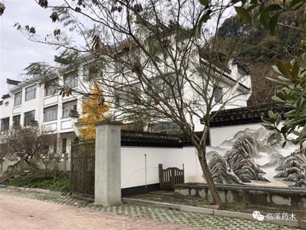 臨溪藥木 臨溪藥木