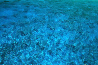 1516355109789099.png 1516355109789099.png